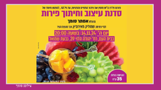 סדנת עיצוב וחיתוך פירות לפנויים פנויות 