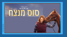 סרט בקר - סוס מנצח 