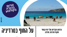 על החוף בסרדיניה לאתר.png